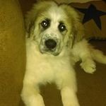 Rhonda Stoops - @stoopsrhonda - Instagram