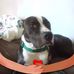 Rhonda Stoops Murphy - Facebook
