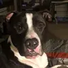 Rhonda Stoops Murphy - @rhondastoopsmurph - TikTok