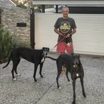 Rhonda Stringer - @rhonstring - Instagram
