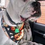 Rhonda Stringer - @stringerrhonda - Instagram
