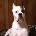 Rhonda Stringer - Facebook