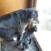 Rhonda Strom Wood - Facebook