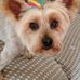 Rhonda Studer - Facebook