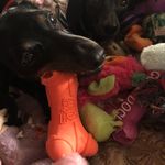 Rhonda Sutherland - @rhondasutherland4 - Instagram