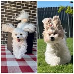 Rhonda Sutherland - @rhondaroosutherland - Instagram