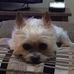 Rhonda Sutherland - Facebook