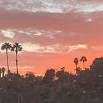 Rhonda Sutton Pauley - @rhonda_sutton_pauley - Instagram
