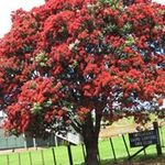 Rhonda Renning Talbot - @talbotrhondarenning - Instagram