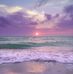 Rhonda Temple - Facebook