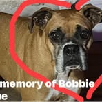 Rhonda Terry - Facebook