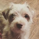 Rhonda Thacker - @rhonda_thacker - Instagram