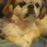 Rhonda Thibodeaux - @squirrel1167 - Instagram