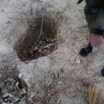 Rhonda Broussard Trahan - @rhonda.trahan1 - Instagram