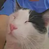 Rhonda Trahan700 - @rhondatrahan700 - TikTok