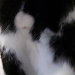 Rhonda Trahan - @rhondatrahan22 - Instagram