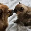 RhondaTrapp111 - @rhondatrapp111 - TikTok