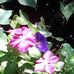 Rhonda Usry - Facebook