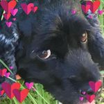 Rhonda Vallely - @rhondavallely - Instagram