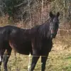 rhondalavallee7 - @rhondalavallee7 - TikTok
