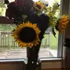 Ronda Van Horn - @user423172777 - TikTok