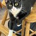 Ronda VanHorn - Facebook