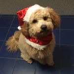 Rhonda Vickers - @vickers1347 - Instagram