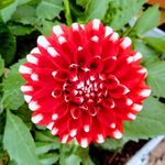 Rhonda Weiler - @rhonweiler - Instagram