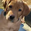 Rhonda Zahn Etzweiler - @rhondaetzweiler1 - TikTok