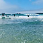 Rhonda Winterbach - @rhondawinterbach - Instagram