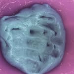 Rhonda yarbrough - @rhondafaye34 - Instagram