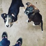 Rhonda Yarbrough - @rhobsayarbeougg - Instagram