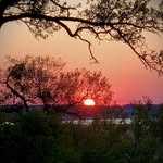Rhonda Yarbrough Muckleroy - @wwmuck - Instagram