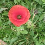 Rhys Thomas Abbott - Facebook