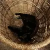 rhyscarpenter90 - @rhys.carpenter5 - TikTok