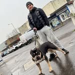 @rhys_duncann - Instagram