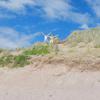 rhysfarrell68 - @rhysfarrell68 - TikTok