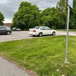 Rhys Fitzpatrick - @rhyfitzpat - Instagram