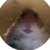 Rhys Nolan - @nolo2.0_ - TikTok