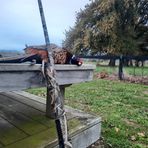 Rhys Peterson - Facebook