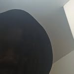 Rhys - @rhys.rose_ - Instagram