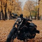 Rhys wallace - @jedi_boy32 - Instagram