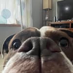 Rhys Wallace - @wallacerhys - Instagram