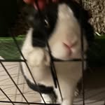 Rhys - @rhys.watson_ - Instagram