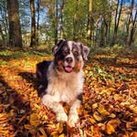 Je-ria Nieder-berger - @abueliita21 - Instagram