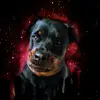 riabond - @riabond - TikTok