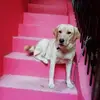 Ria_Dey86 - @Ria_Dey86 - TikTok