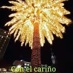 MariaGonzalez - @ma.riagonzalez358 - Instagram