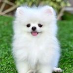 Ria Perez - Facebook