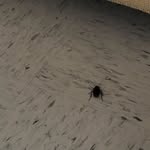 Ria R. (r stands 4 roach) - @ria_ramirez_ - Instagram